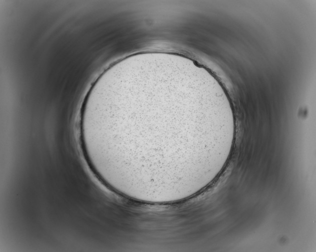 X0000102361479200808291213