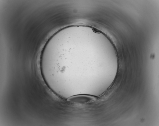 X0000102361480200808291213