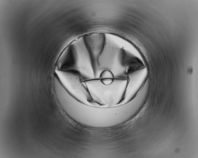 X0000102361481200808291213