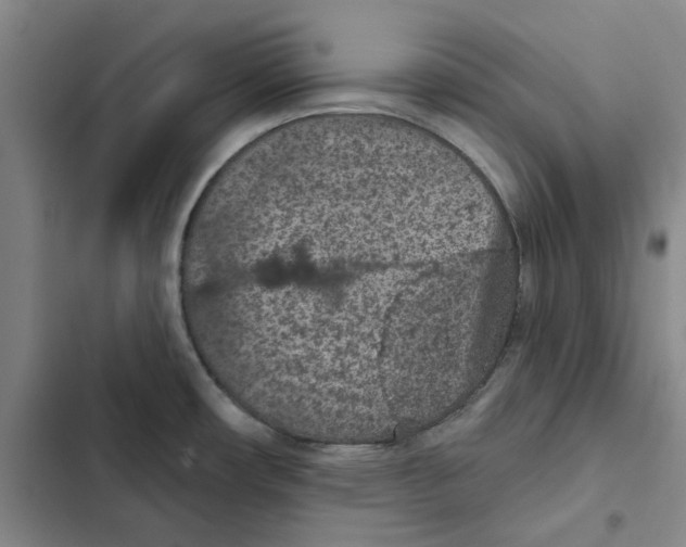 X0000102361482200808291213