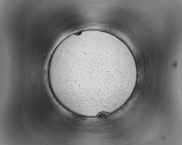 X0000102361483200808291213