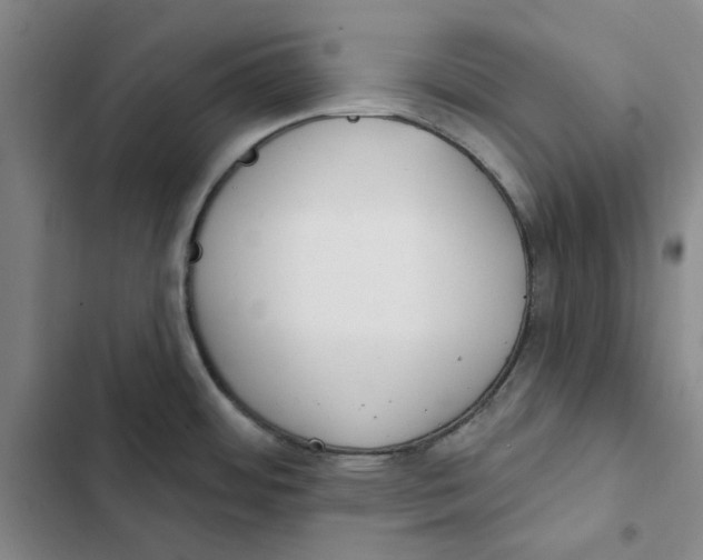 X0000102361484200808291213