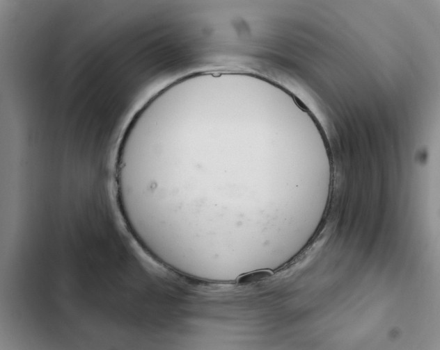 X0000102361485200808291213