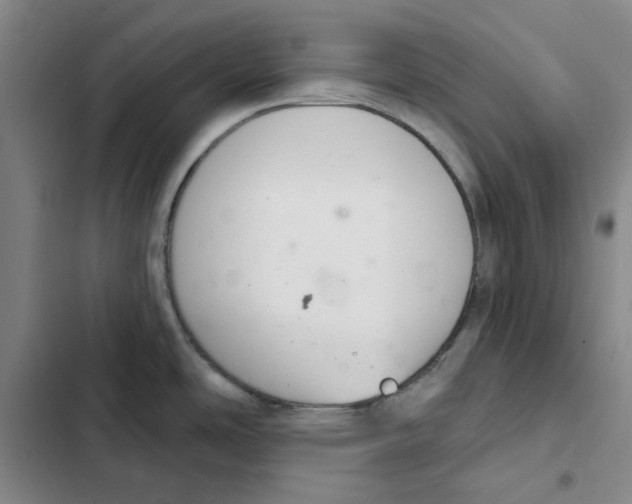 X0000102361486200808291213