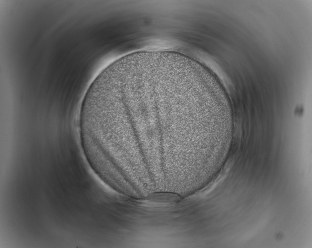 X0000102361487200808291213