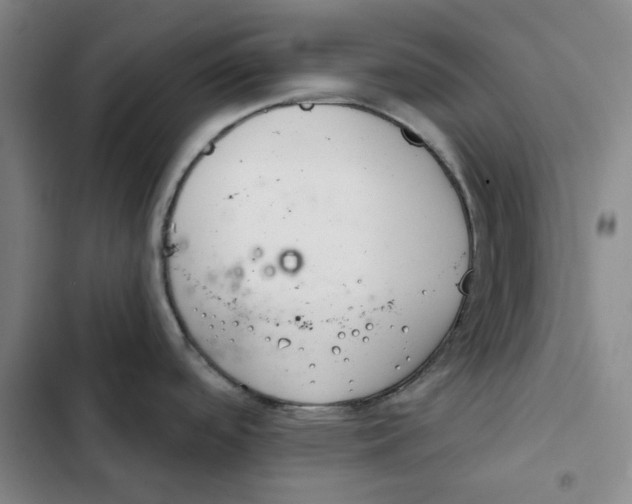 X0000102361488200808291213