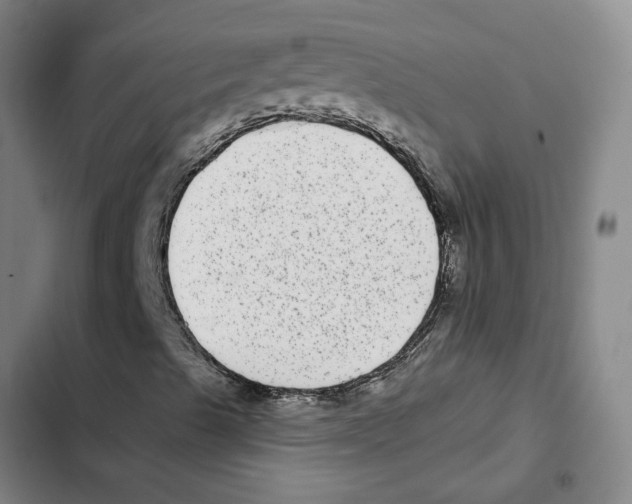 X0000102361489200808291212