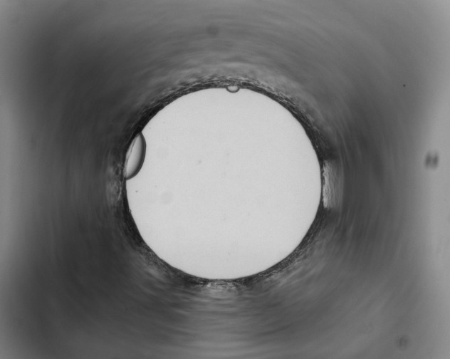 X0000102361491200808291212