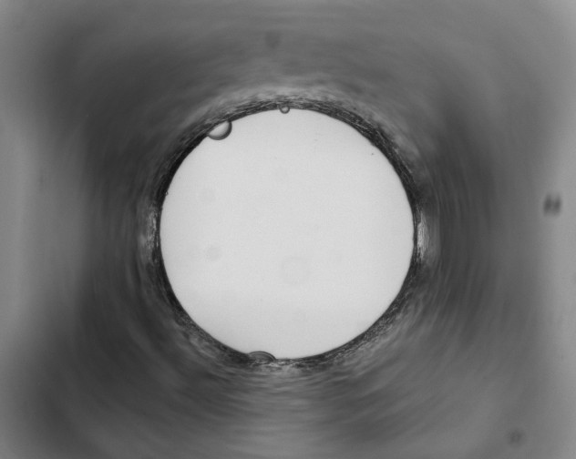 X0000102361492200808291212