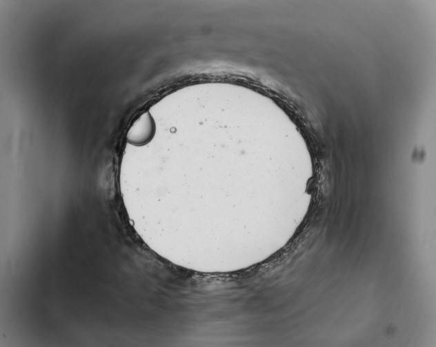 X0000102361493200808291212