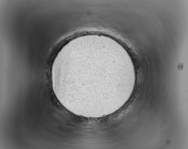 X0000102361494200808291212