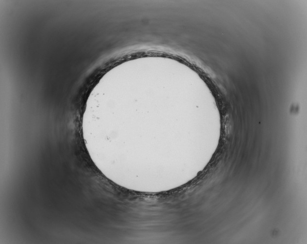 X0000102361495200808291212