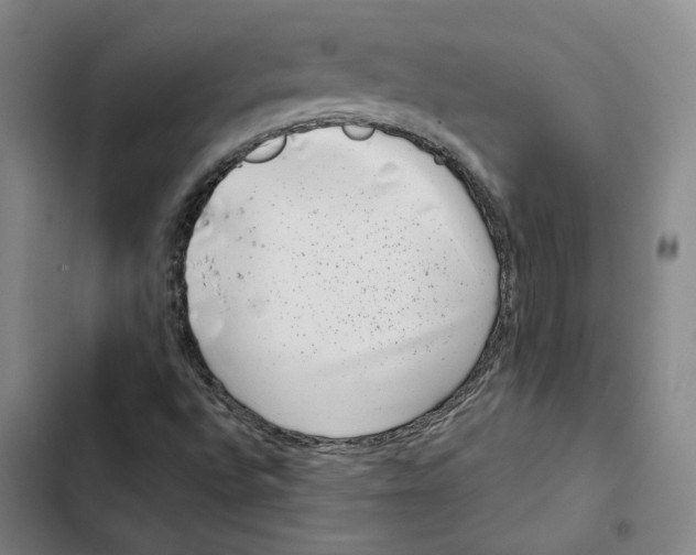 X0000102361496200808291212