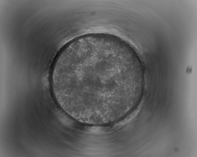 X0000102361497200808291212