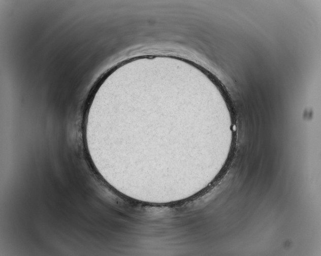 X0000102361498200808291212