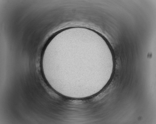 X0000102361499200808291212