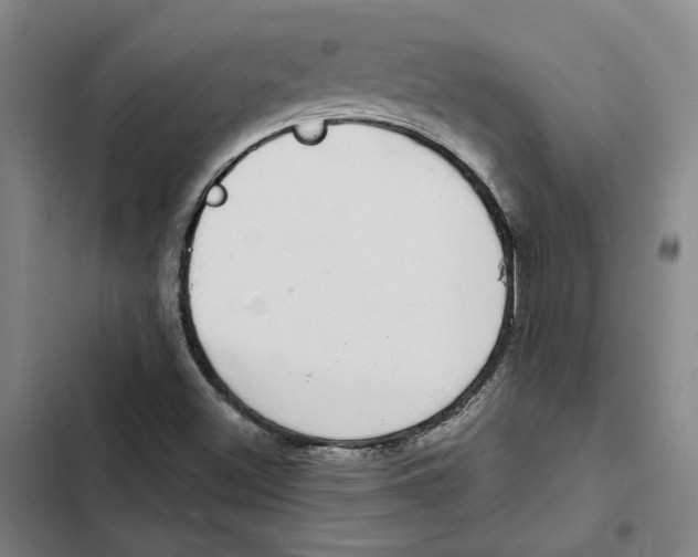 X0000102361500200808291212