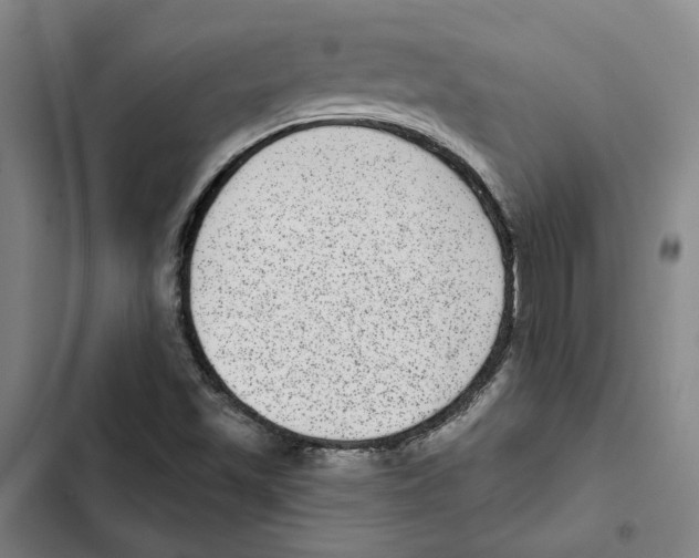 X0000102361501200808291212