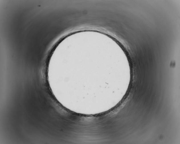 X0000102361502200808291212