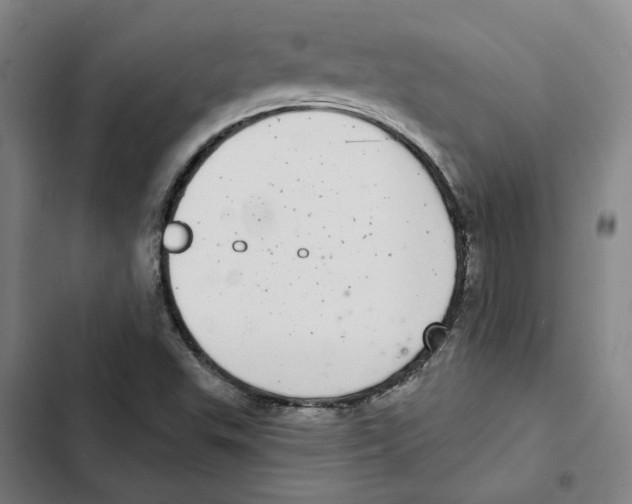 X0000102361503200808291212