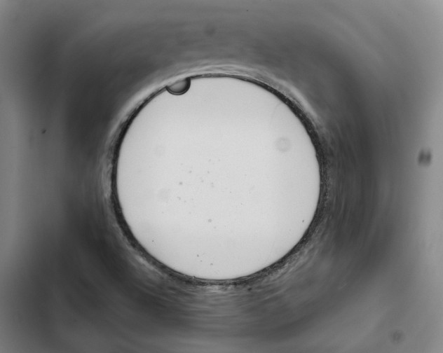 X0000102361504200808291212