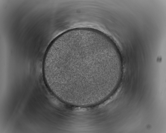 X0000102361505200808291212