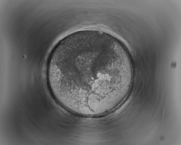 X0000102361506200808291212