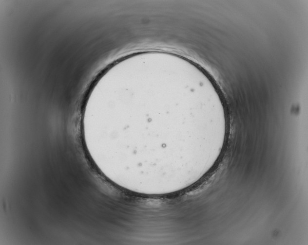 X0000102361507200808291212