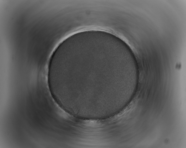 X0000102361508200808291212