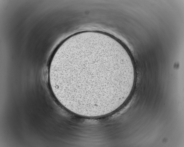 X0000102361509200808291212