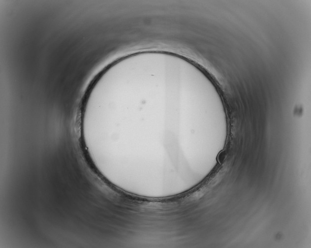 X0000102361510200808291212