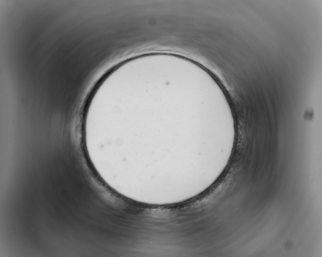 X0000102361511200808291213