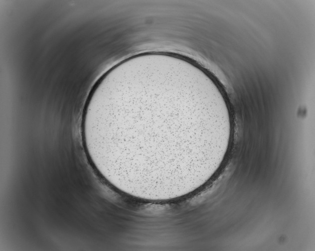 X0000102361513200808291213