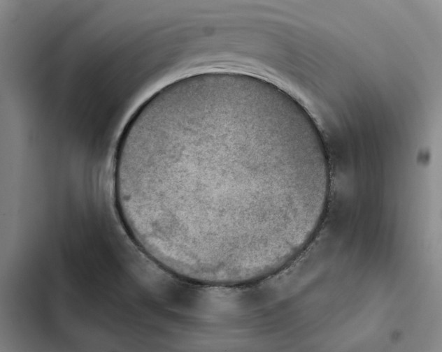 X0000102361514200808291213