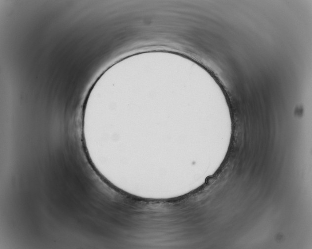 X0000102361516200808291213