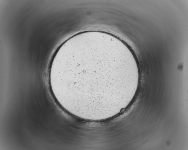 X0000102361517200808291213