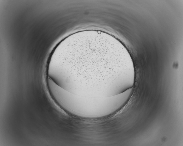 X0000102361518200808291213