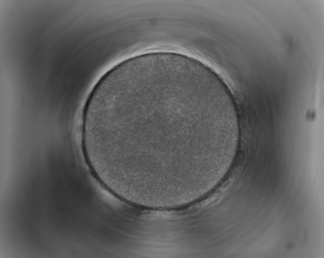 X0000102361519200808291213