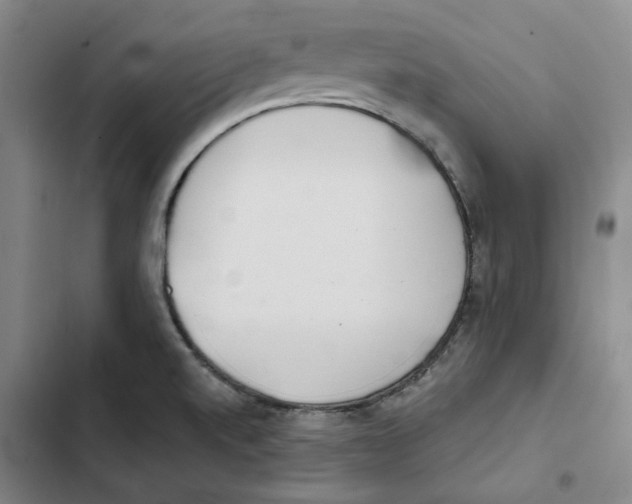 X0000102361520200808291213