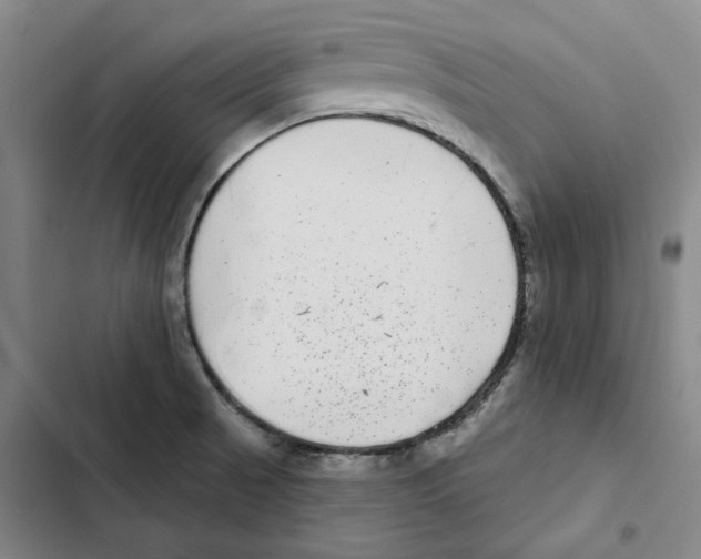 X0000102361521200808291213