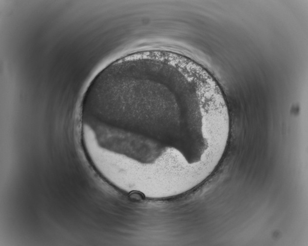 X0000102361522200808291213