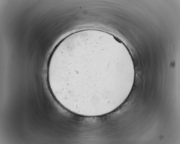 X0000102361523200808291213