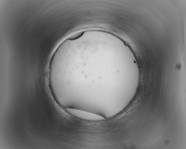 X0000102361524200808291213