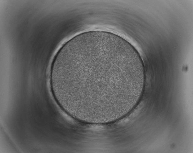 X0000102361525200808291213