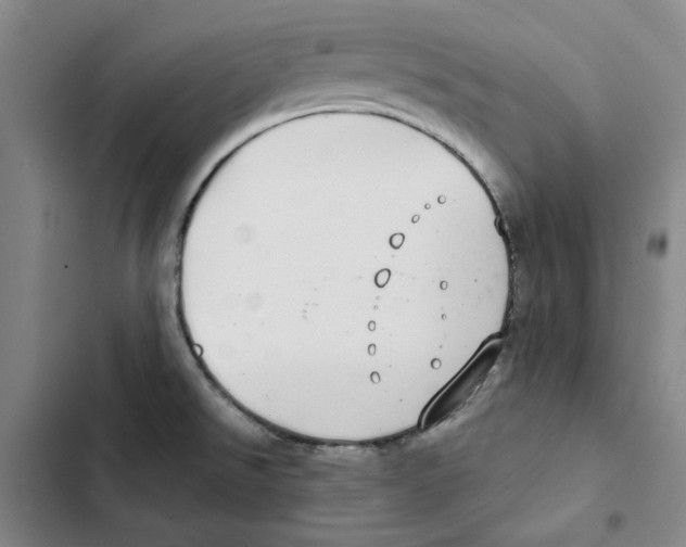 X0000102361526200808291213