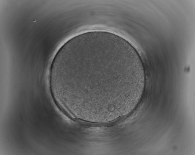 X0000102361527200808291213