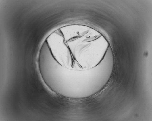 X0000102361528200808291213