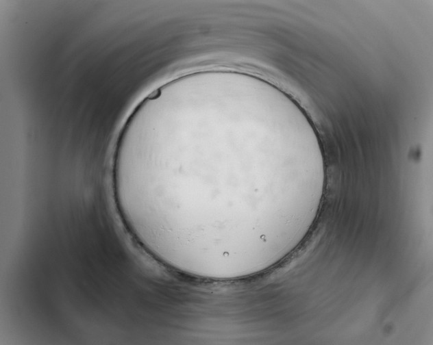 X0000102361530200808291213