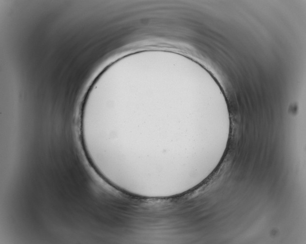 X0000102361531200808291213