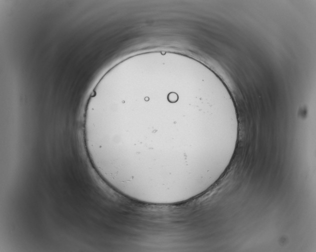 X0000102361532200808291213